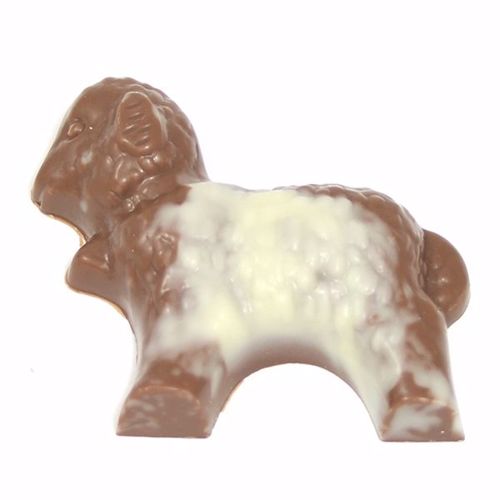 Afbeelding van Schaapjes massief