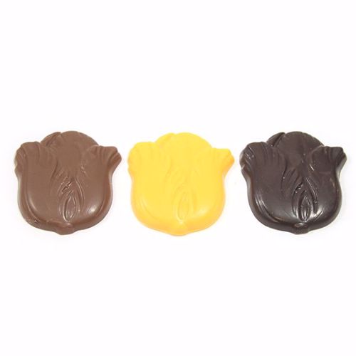 Afbeelding van Tulpen