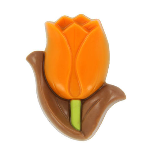 Afbeelding van Tulpen oranje